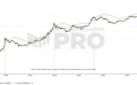 剖析10大BTC頂部指標：目前多頭市場為何不同於以往？