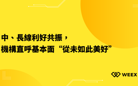 中、長線利好共振，機構直呼基本面“從未如此美好”