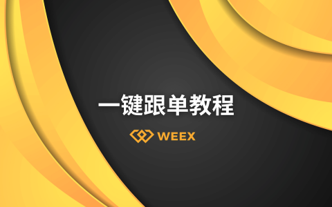 合約新手如何在WEEX一鍵跟單，複製高手的交易策略？