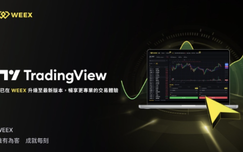 如何在WEEX使用TradingView分析工具，享受更專業的交易體驗？