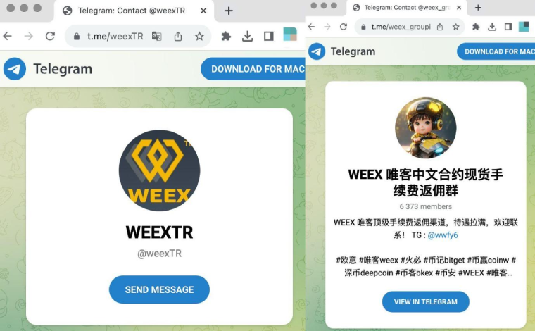 WEEX交易所詐欺？其實是這些仿冒網站打著WEEX旗號行騙