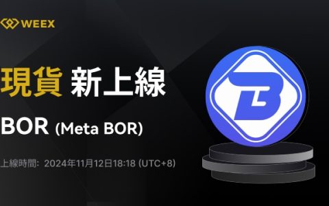 Meta BOR上線WEEX：開創去中心化元宇宙與Web3新路徑