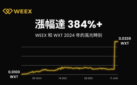 WEEX 2024 年度報告：用戶突破 500 萬，日均交易額超過 50 億美元，團隊規模達 500+