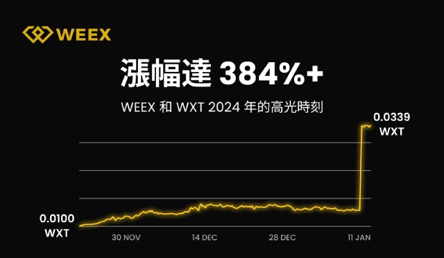 WEEX 2024 年度報告：用戶突破 500 萬，日均交易額超過 50 億美元，團隊規模達 500+